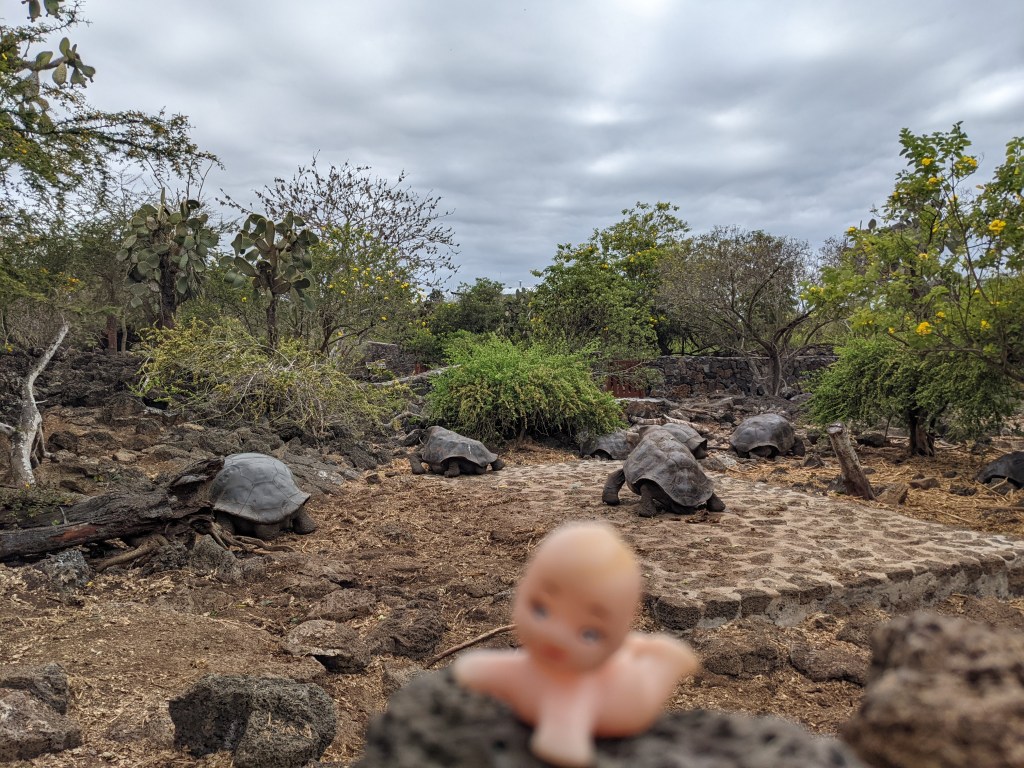 Charles Darwin Research&nbsp;Station