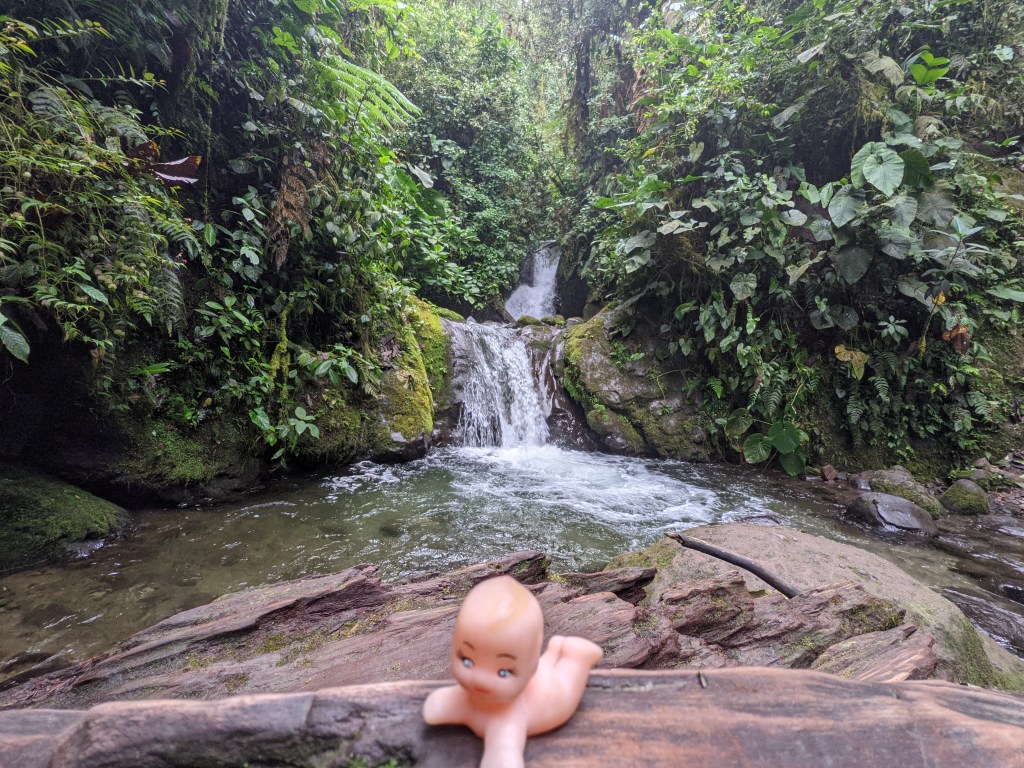 Santuario de las&nbsp;Cascadas