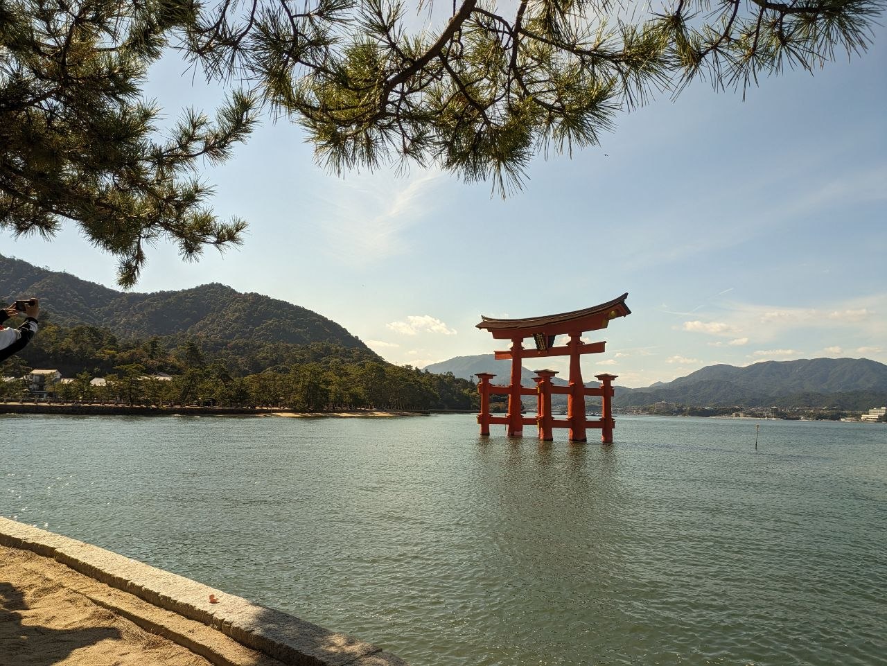 Floating torii gate of Itsukushima framed by pine tree branches