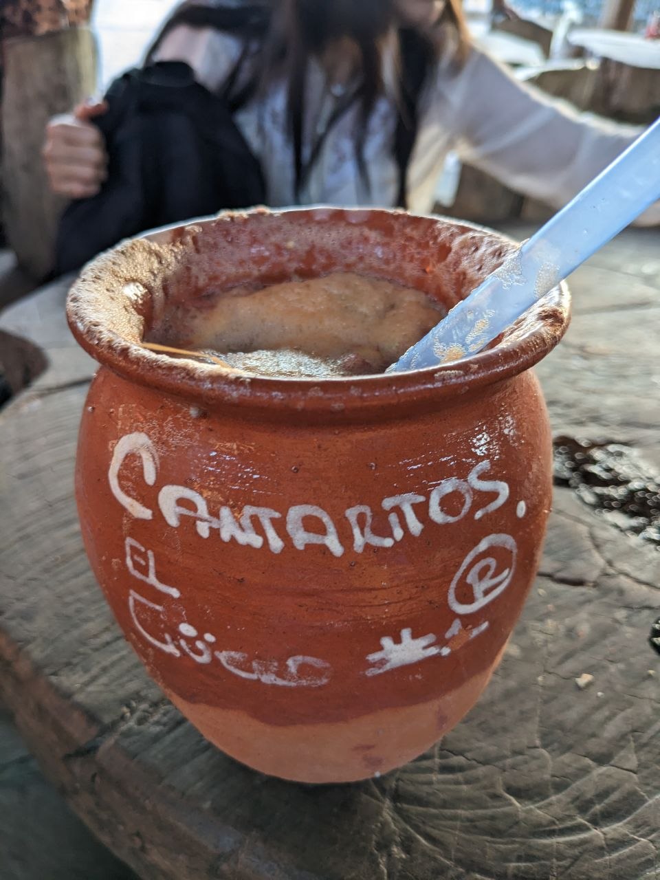 Blue agave plants growing in rows on volcanic hillsides near Tequila, Jalisco