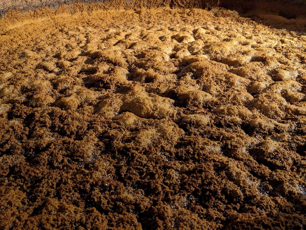 Colorful streets and colonial buildings in the town of Tequila, Jalisco