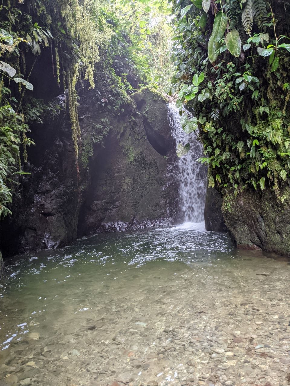 Waterfall cascading into a clear turquoise pool surrounded by canyon walls at Santuario de las Cascadas, Mindo