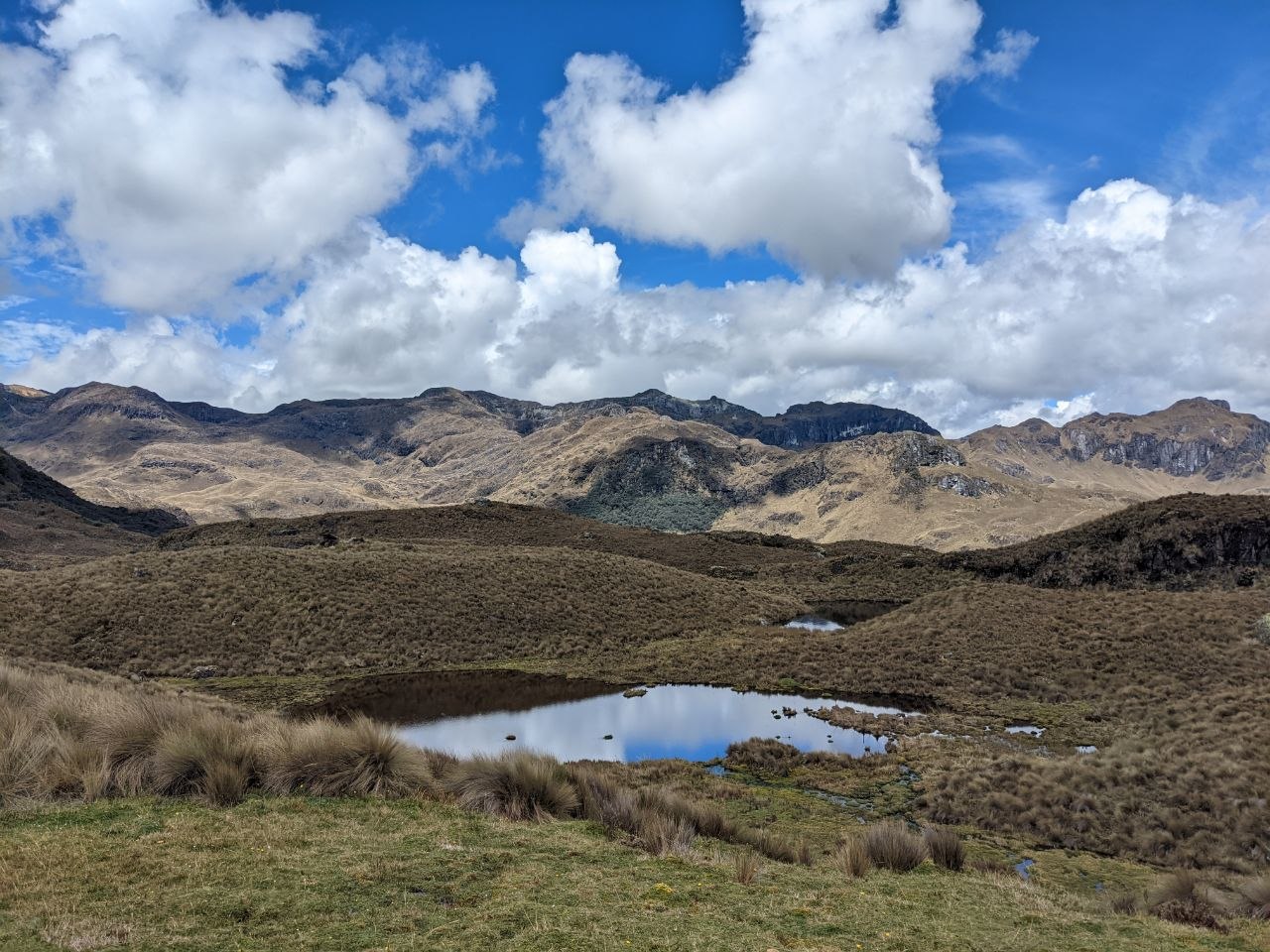 Two small glacial tarns surrounded by tufted ichu grass and rocky ridgelines in Cajas National Park, Ecuador