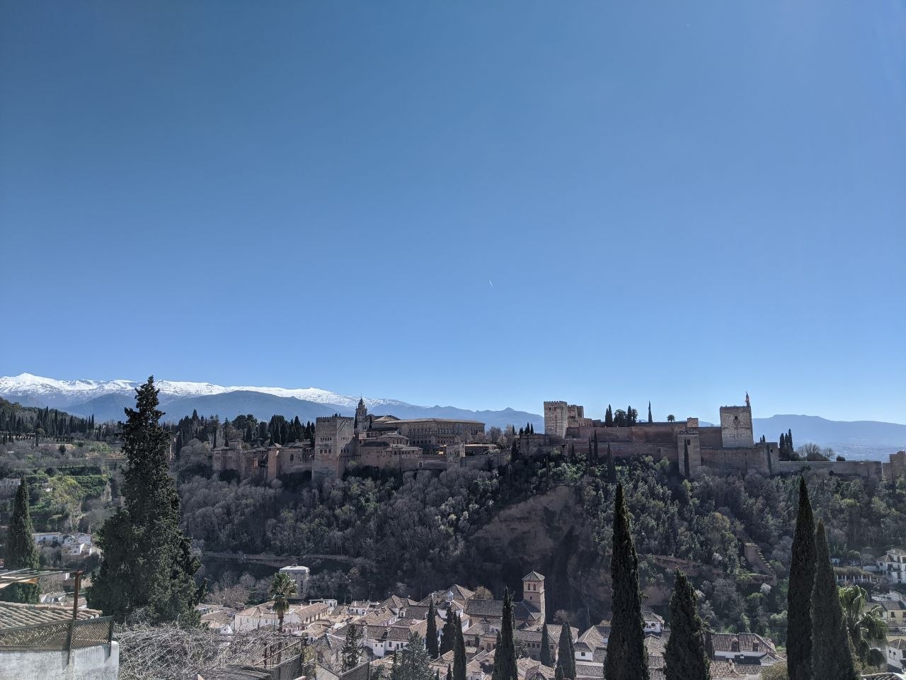 Panoramic view of the Alhambra from Sacramonte — the full silhouette of the Nasrid Palaces, Alcazaba towers, and cypress trees atop the Sabika hill, with the snow-capped Sierra Nevada peaks rising behind under a deep blue sky