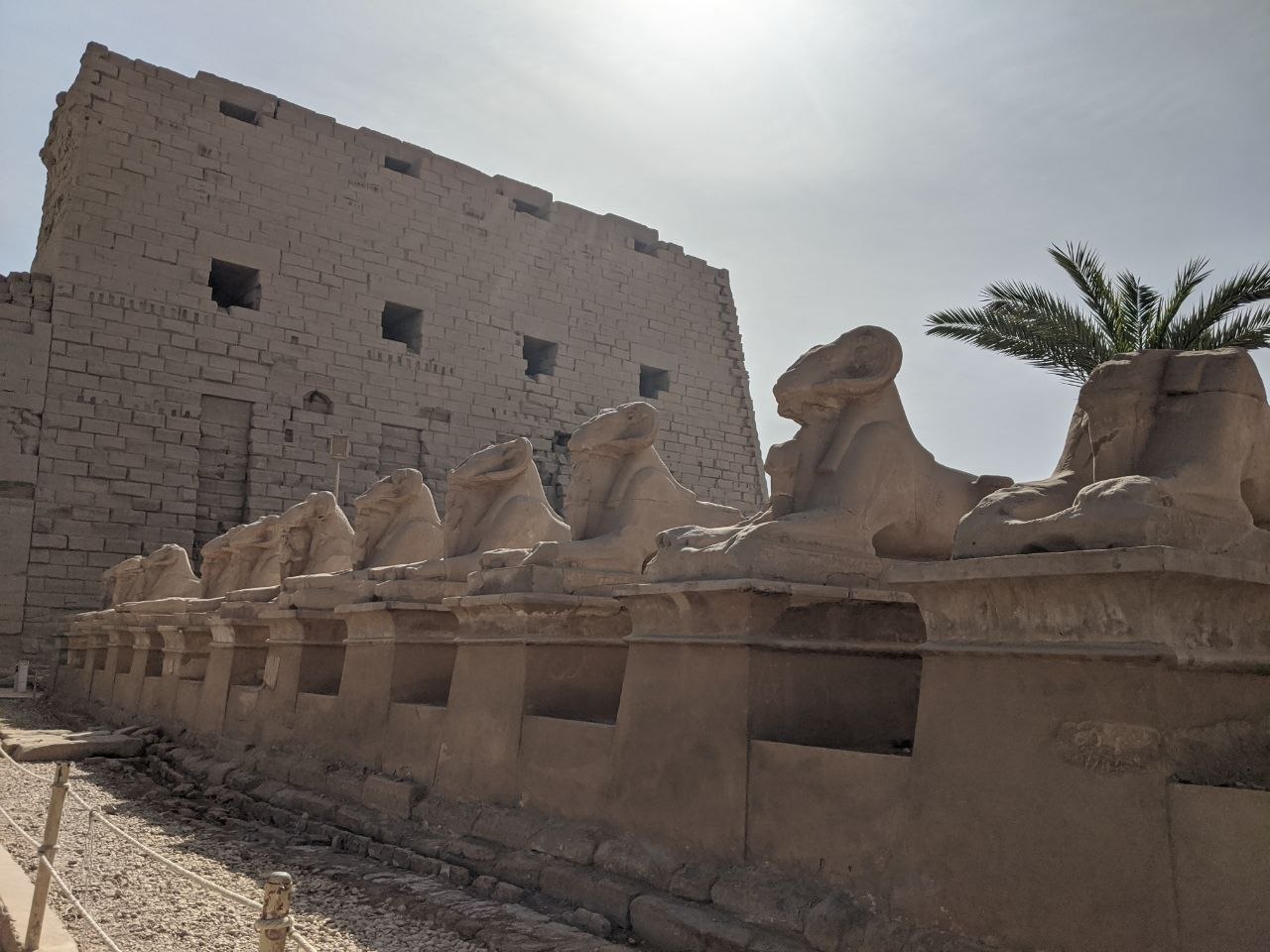 Row of ram-headed sphinxes along the Avenue of Sphinxes at Karnak, with the first pylon rising behind them and a palm tree in the corner