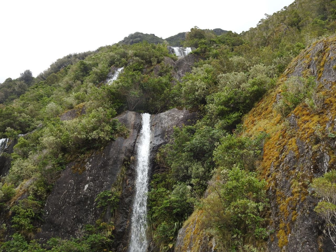 A thin white waterfall cascading down dark moss-covered rock faces on the valley wall beside Franz Josef Glacier, surrounded by dense green West Coast rainforest of ferns, kāmahi, and mossy scrub under an overcast sky
