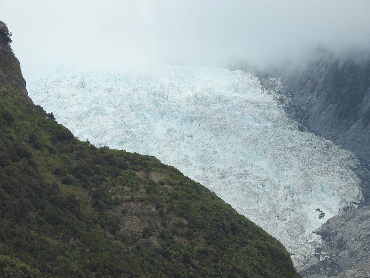 The lower face of Franz Josef Glacier seen from across the valley — a vast broken field of white and pale blue ice seracs tumbling between steep dark green forested ridges, with cloud obscuring the upper névé and Southern Alps behind