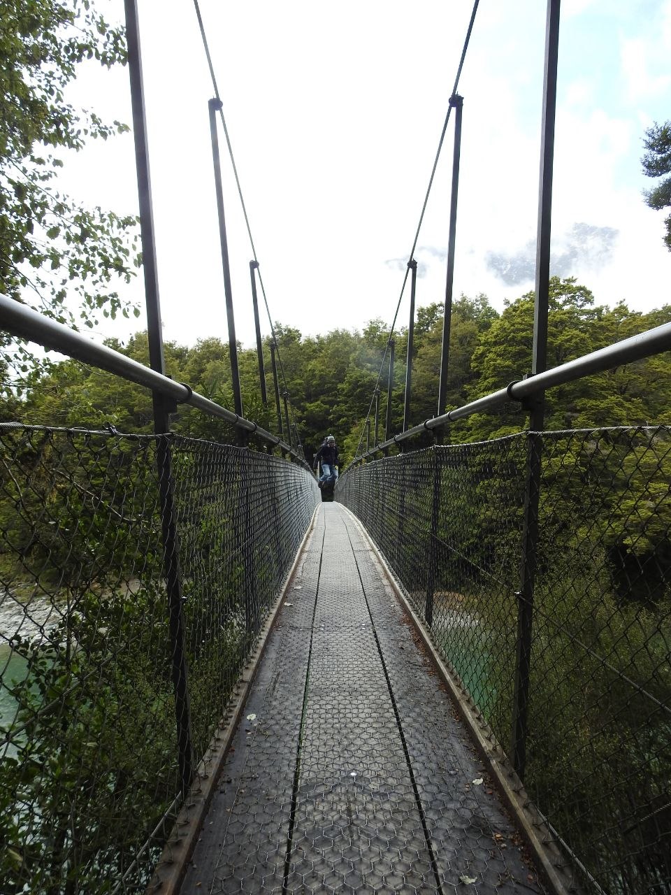 A person crossing the Blue Pools swingbridge above the Makarora River, the wire-mesh bridge deck receding to a vanishing point between wire-rope handrails and chain-link sides, dense beech forest and a glimpse of teal river visible below
