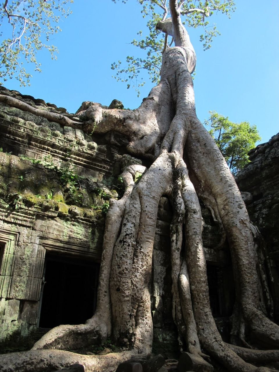 Angkor, Cambodia