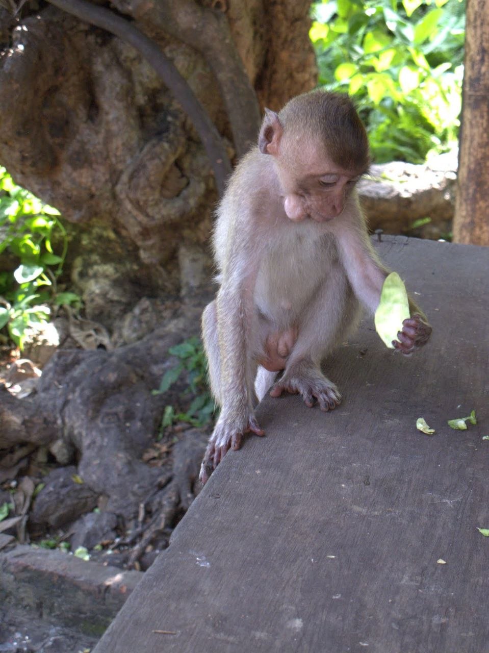 Phetchaburi, Thailand