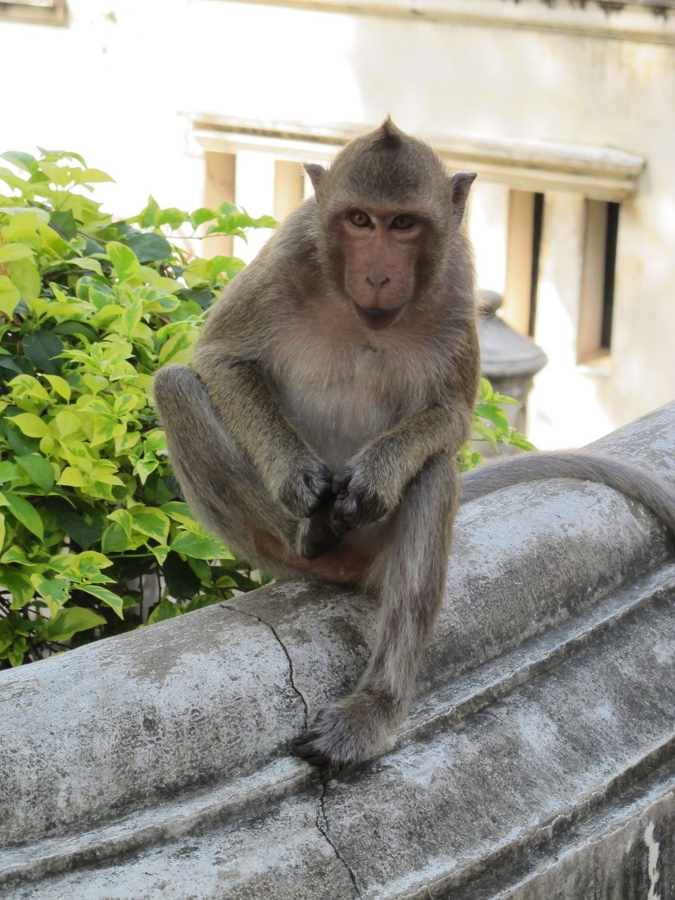 Phetchaburi, Thailand