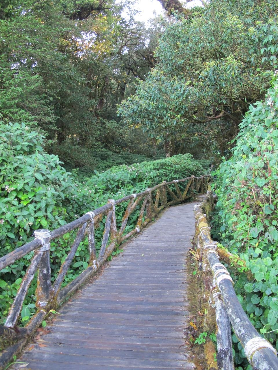 Chiang Mai, Thailand