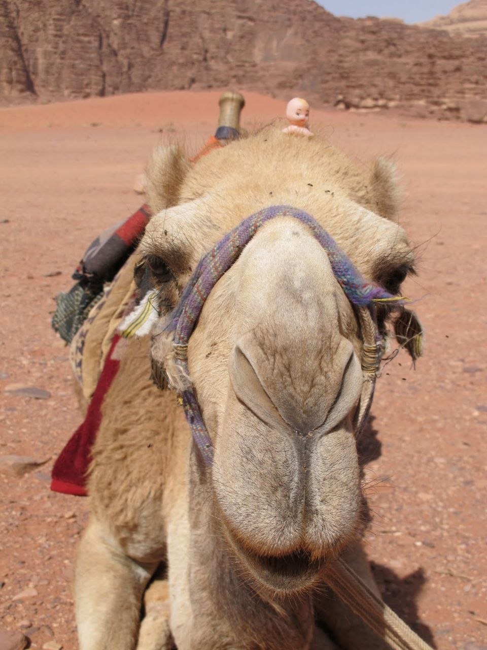 Wadi Rum, Jordan