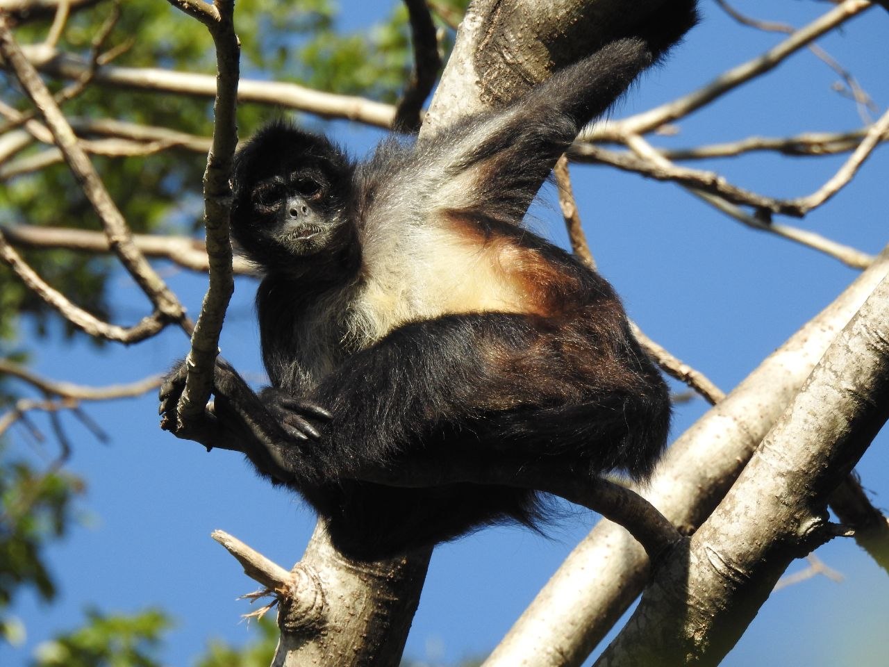 Lake Atitlán, Guatemala