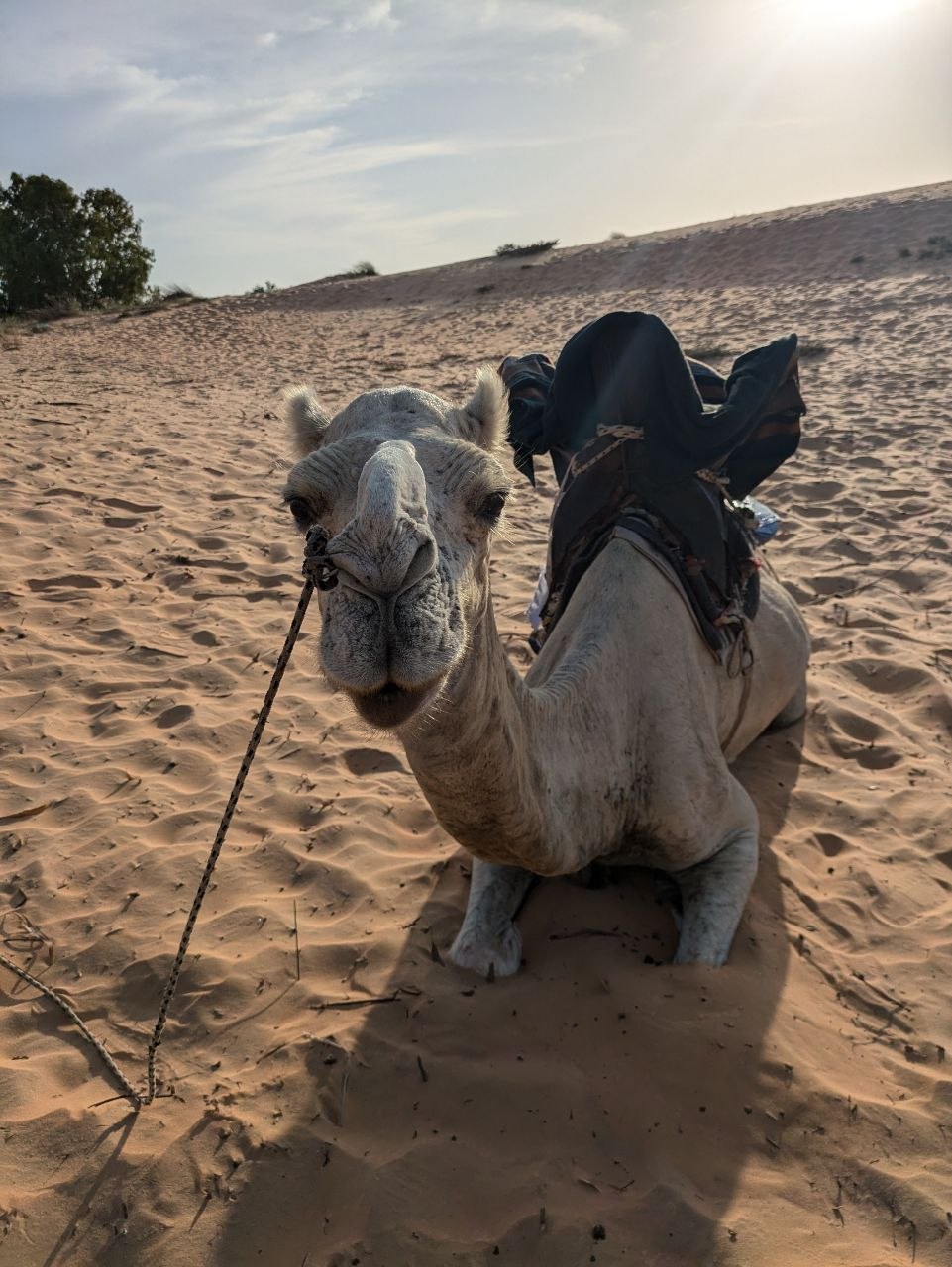 Lompoul Desert & Saint-Louis, Senegal