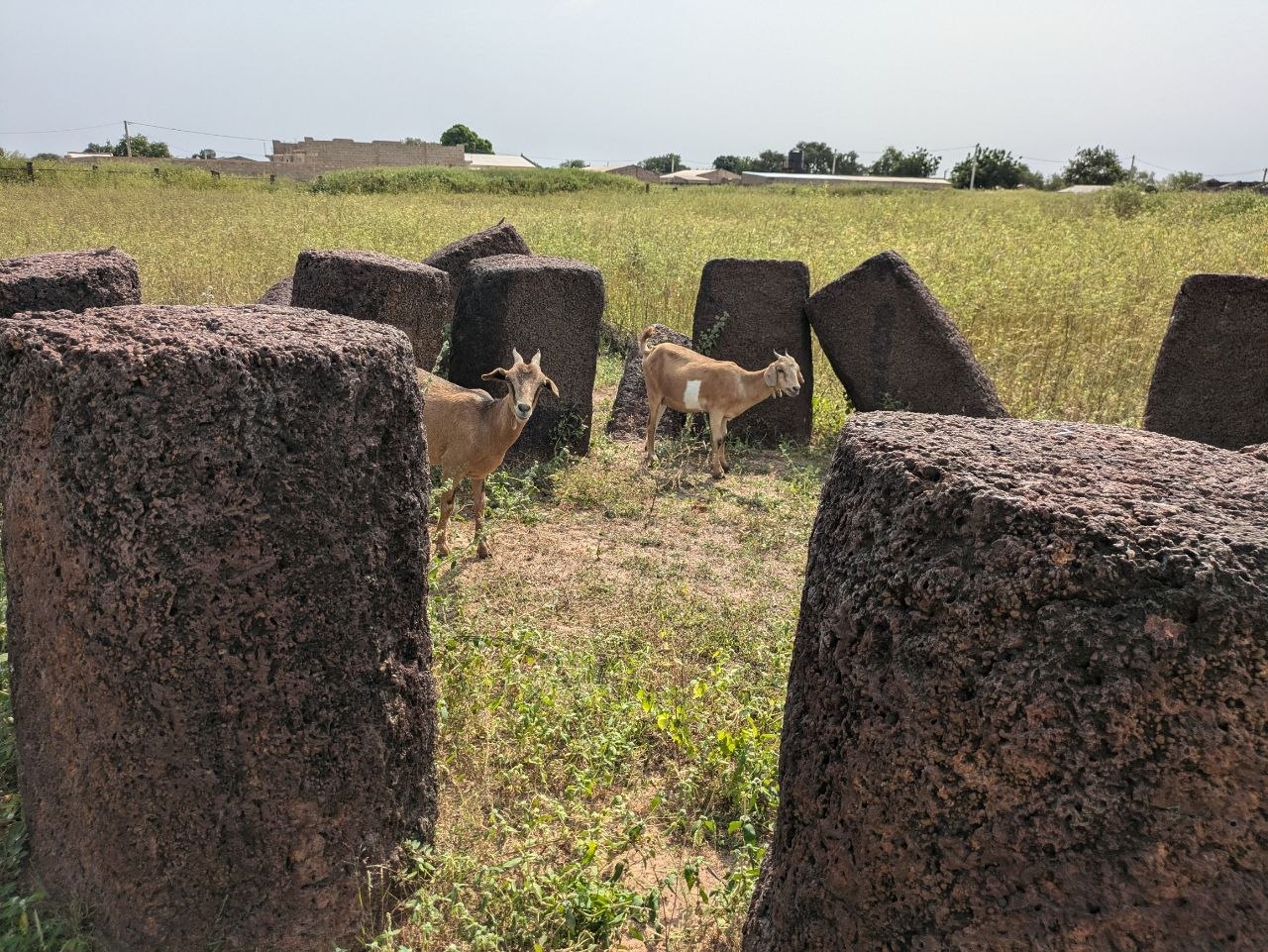 Sine Ngayene megalithic stone circles, Senegal