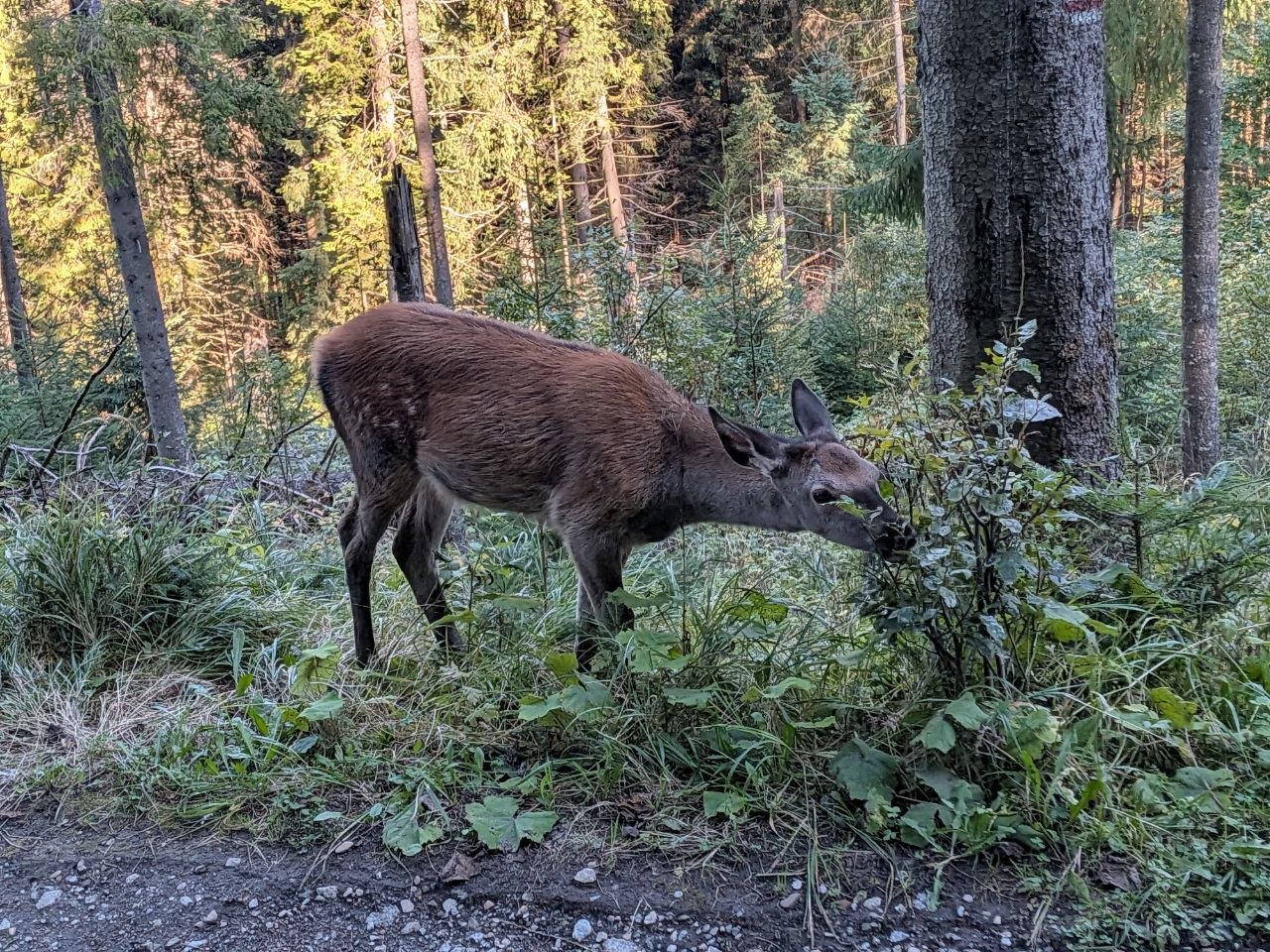 Tatra Mountains, Slovakia