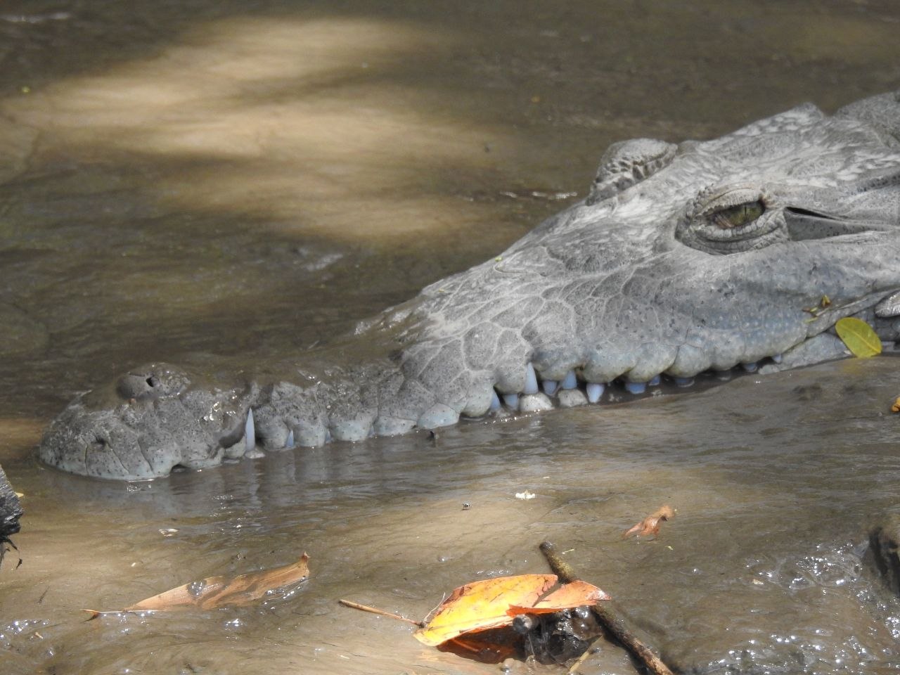 Tamarindo, Costa Rica