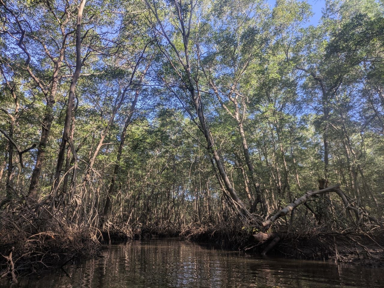 Tamarindo, Costa Rica