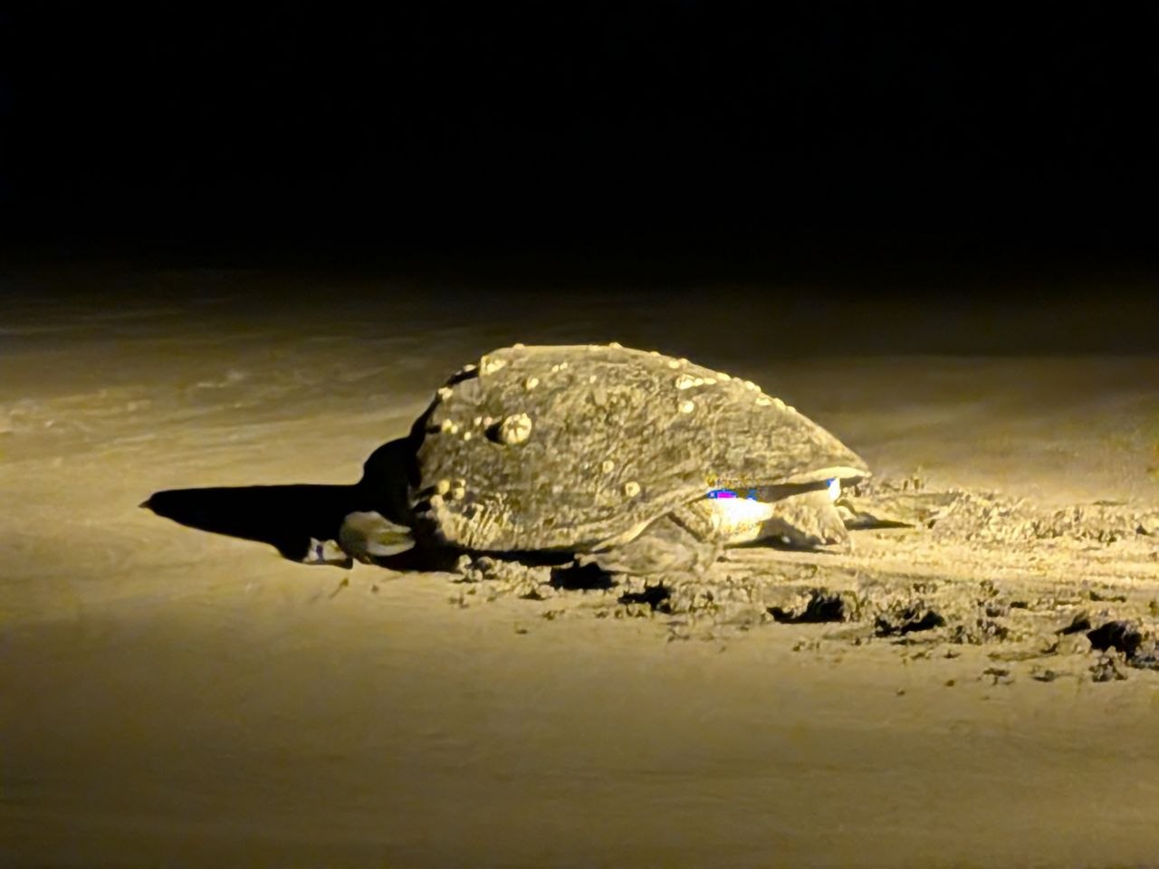 Tamarindo, Costa Rica