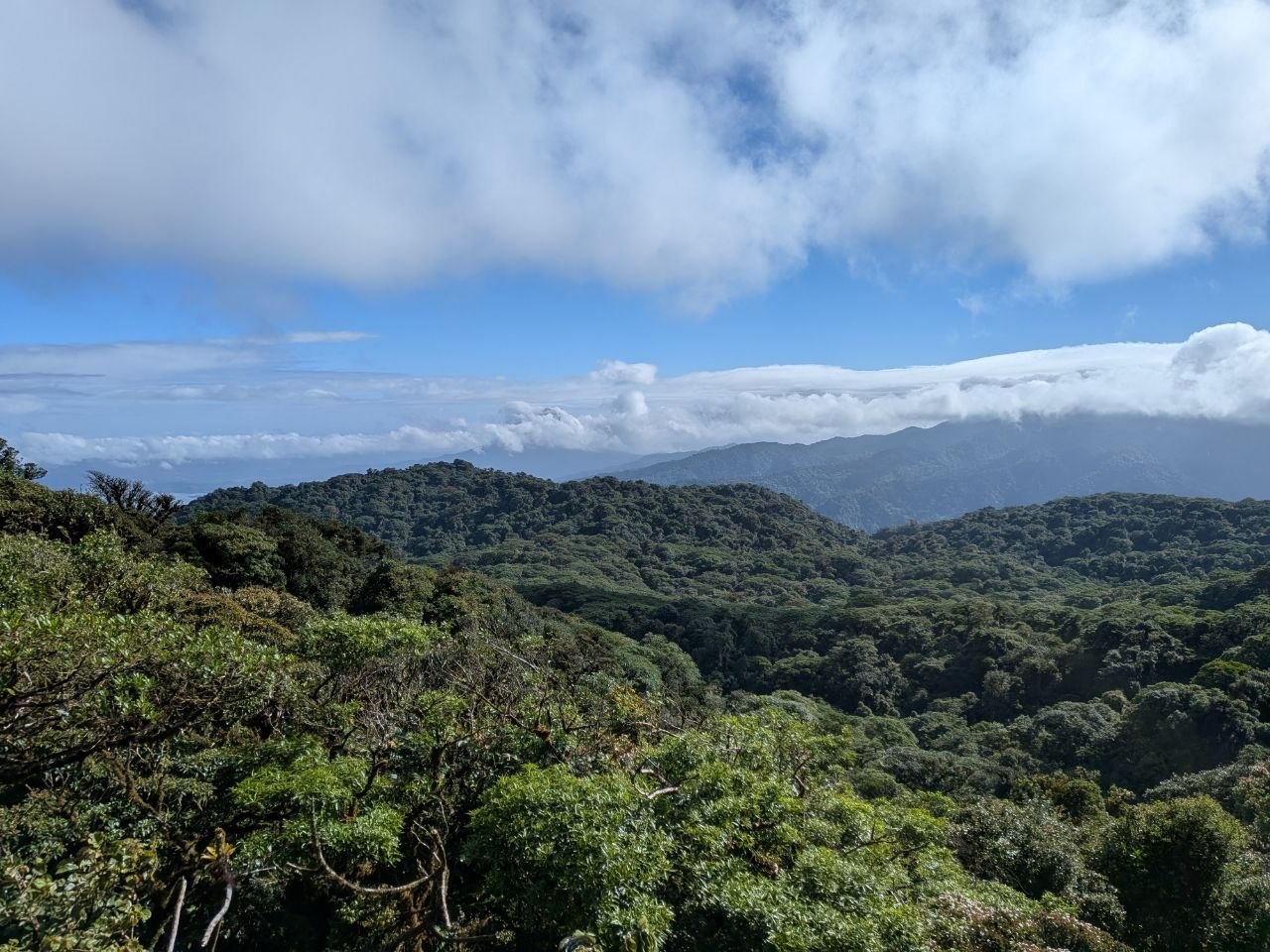 Panoramic view over the cloud forest canopy and mountain ridges from a viewpoint at Santa Elena Cloud Forest Reserve, Monteverde, Costa Rica